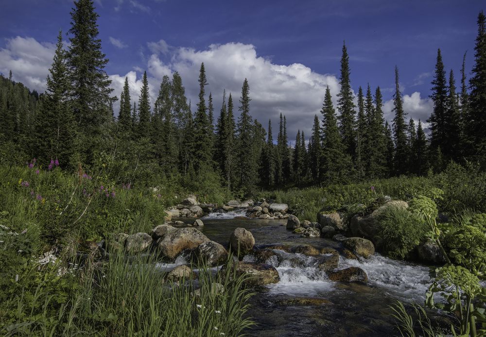 Среди зеленых берегов тайги.