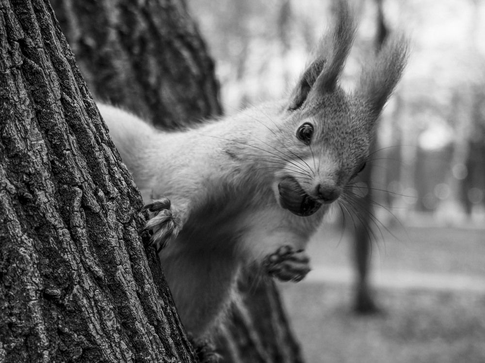 Photograph by Elena Khalizova