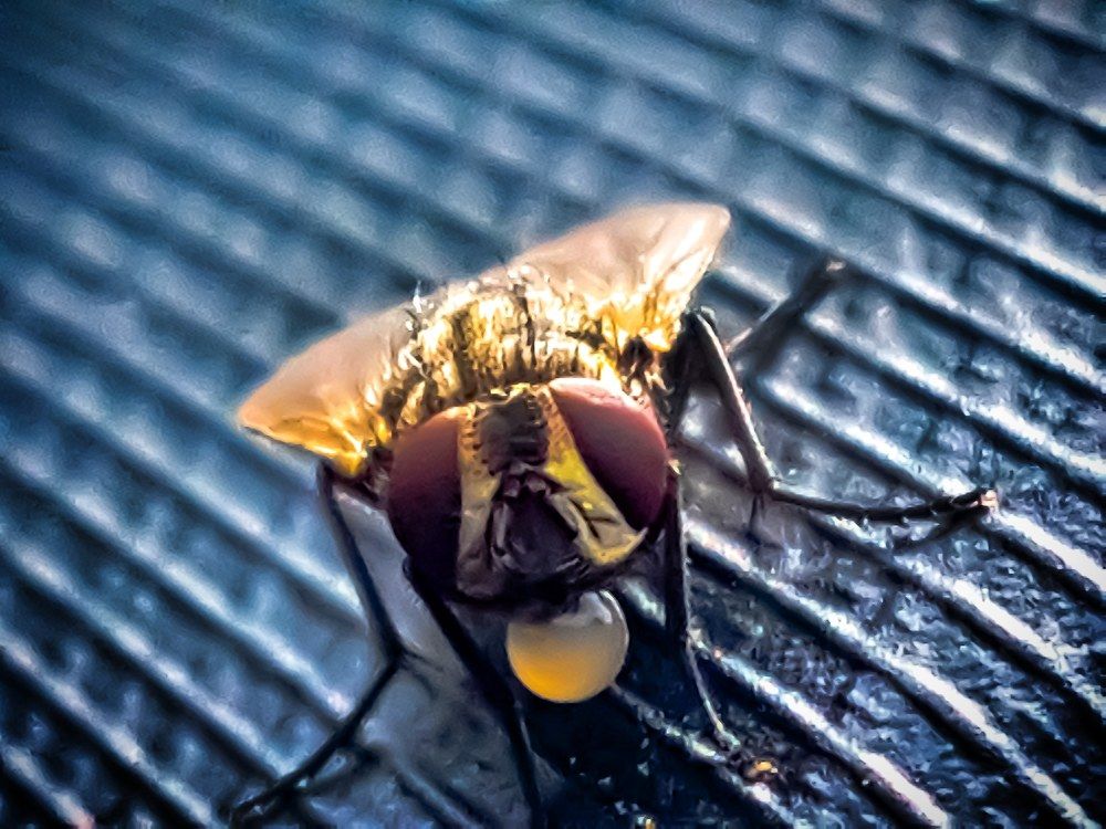 Photograph by NILAAN LOGANATHAN