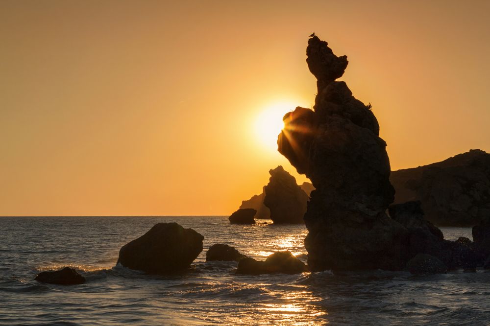 Ловец солнца