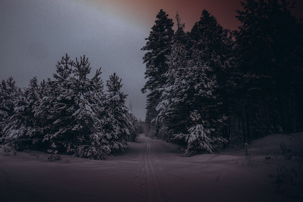Фотография автора Глеб Салов