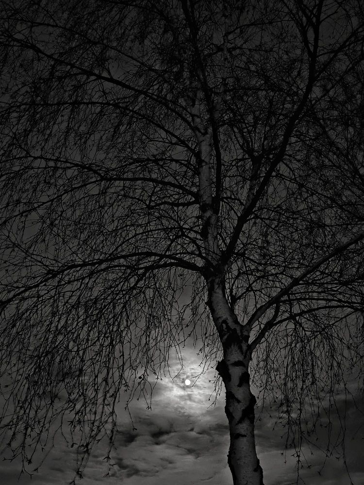 Photograph by Евгения Лушенкова