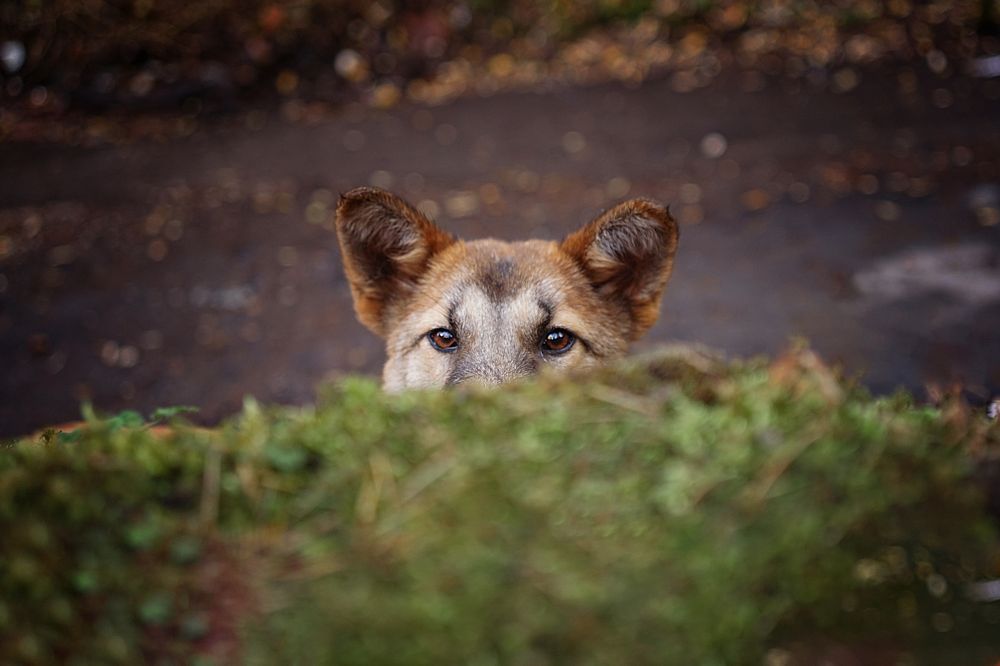 Photograph by Enya Gromova