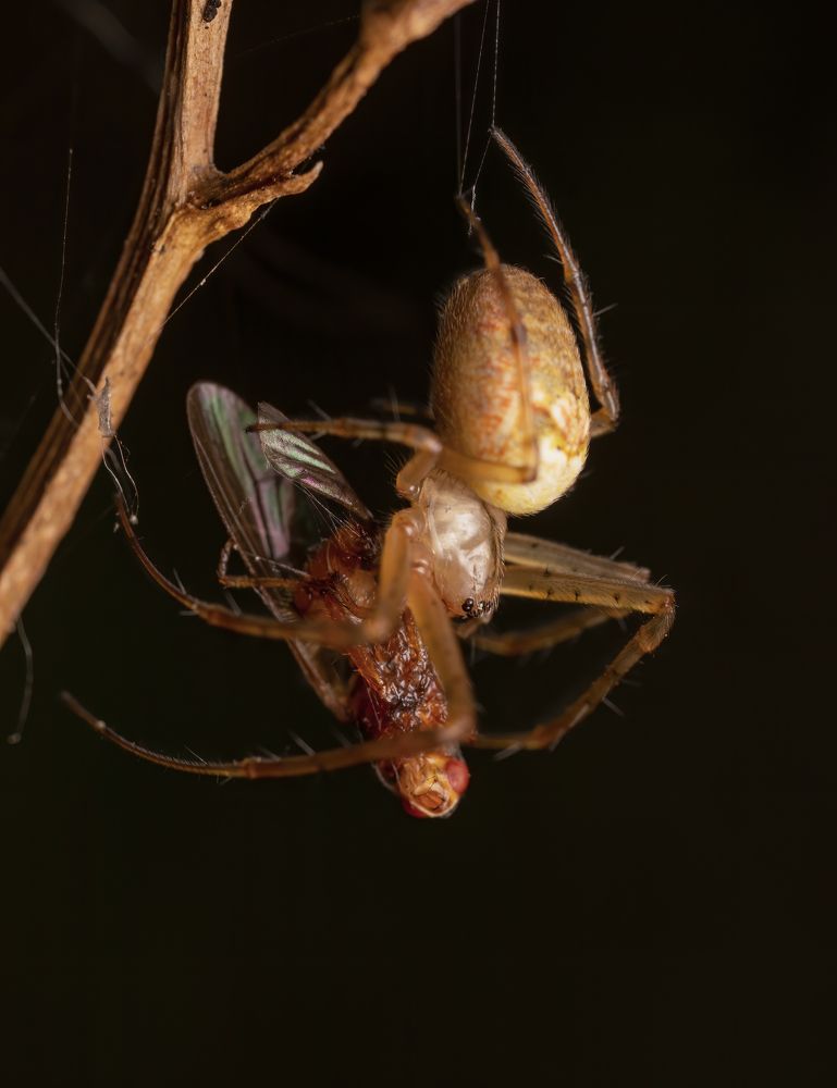 Photograph by Глеб Коровко