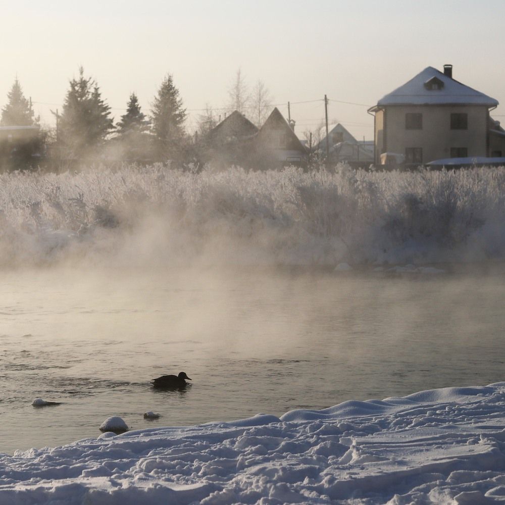 Фотография автора Вера Инюшкина