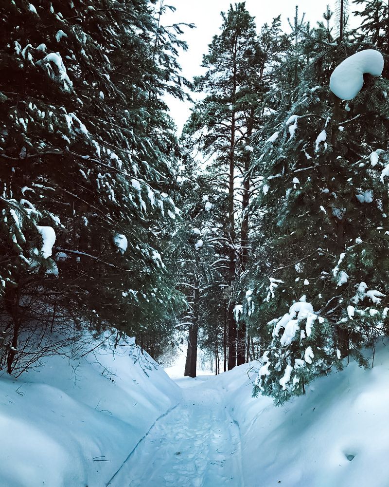 Photograph by Анжелика Шокина