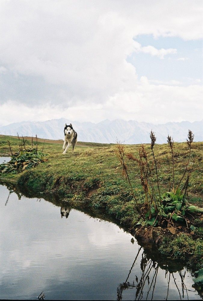 Photograph by Aleksandra Gribowskaya