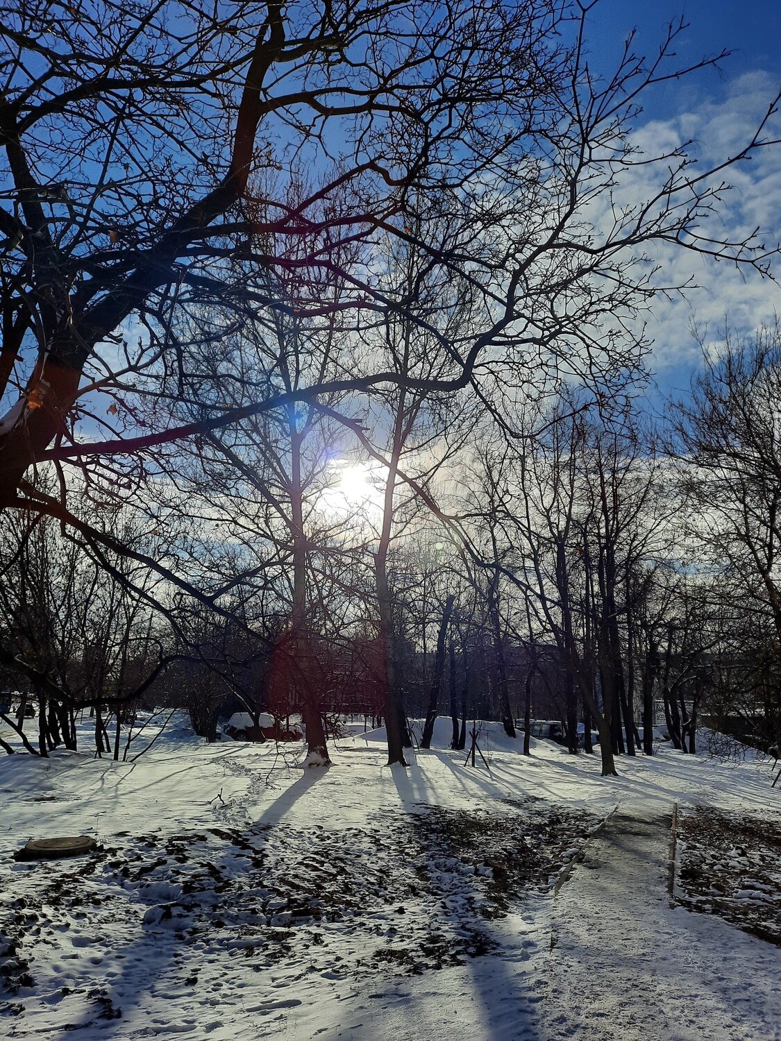 Photo #5633142