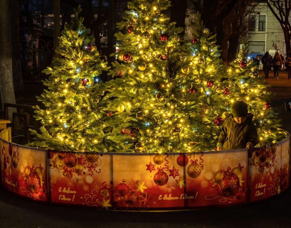 Photograph by Галина Михоношина