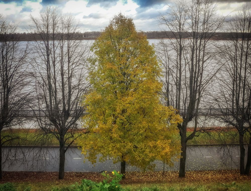 Фотография автора Илья Большаков