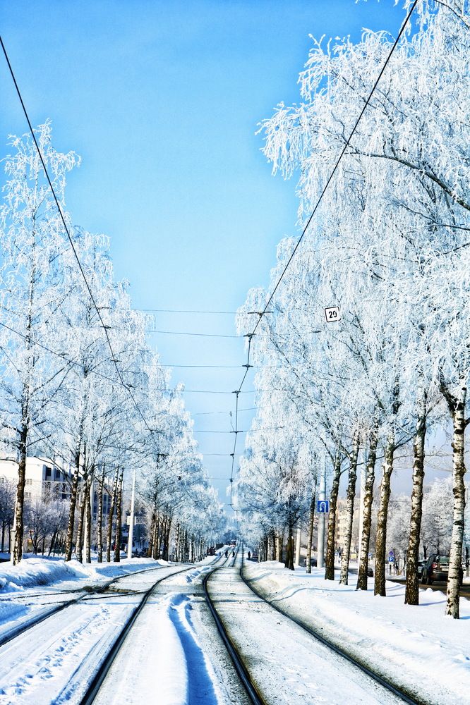 Фотография автора Анастасия Пищулова
