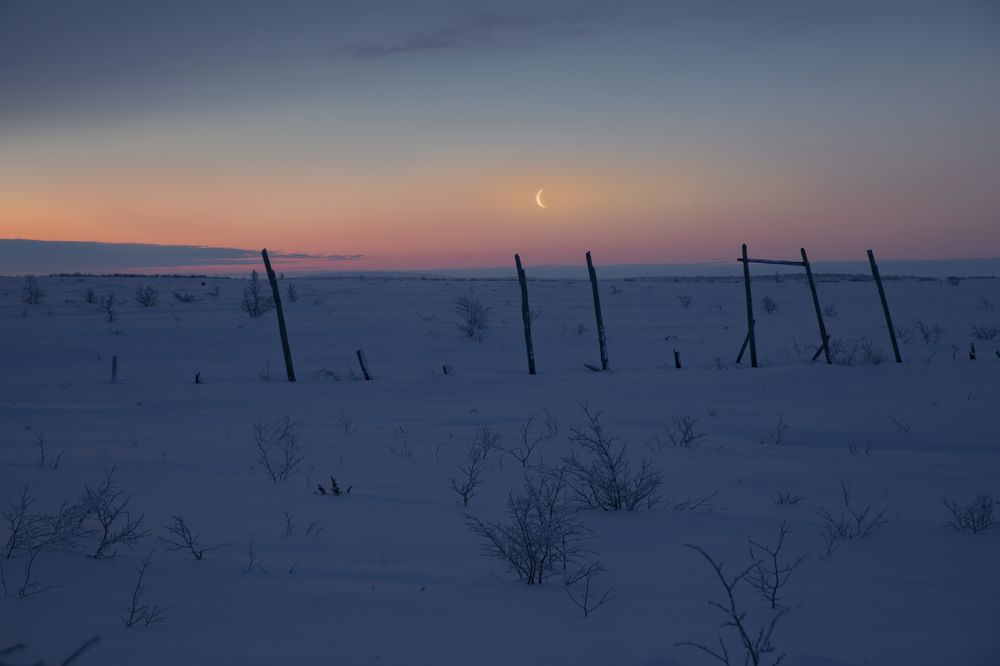 Photograph by Юлия Лазебная