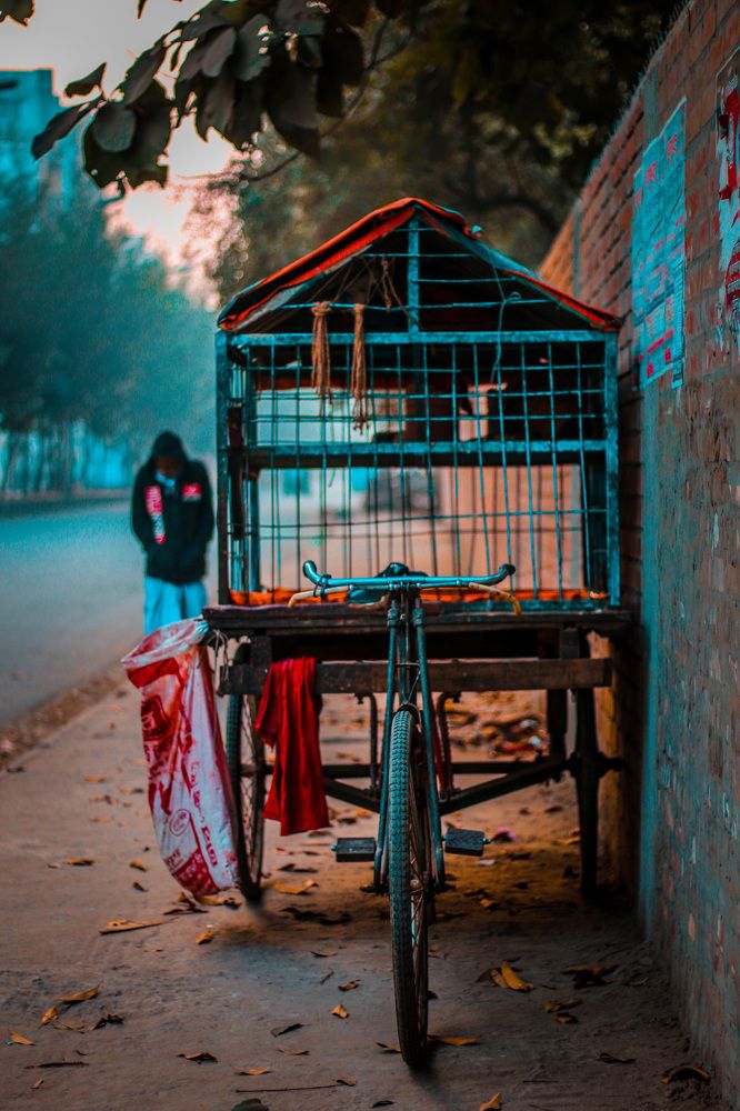 Photograph by Yousuf Hossain