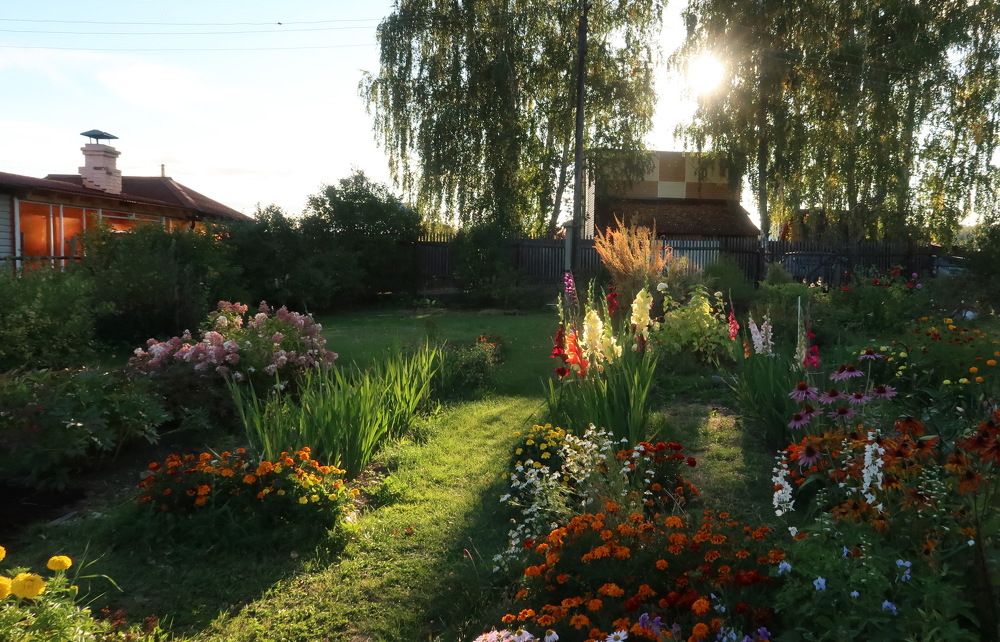 Вечерний сад