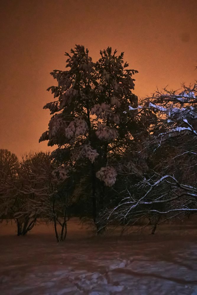 Фотография автора Евгений Вагуро