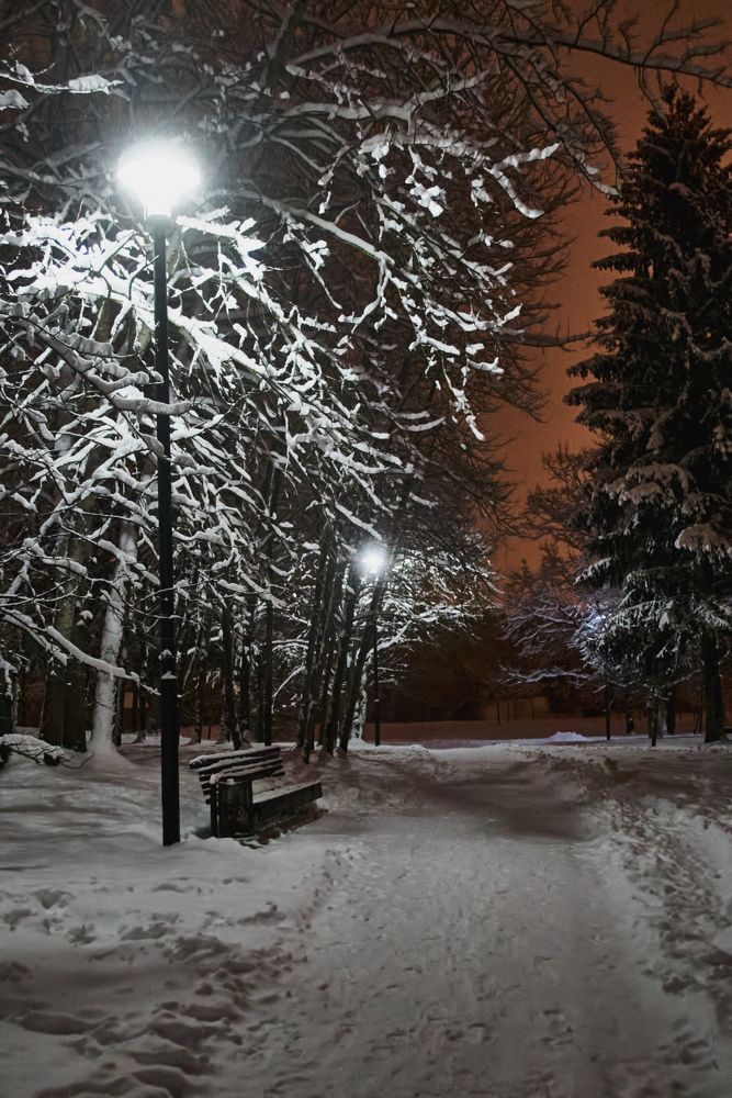 Фотография автора Евгений Вагуро