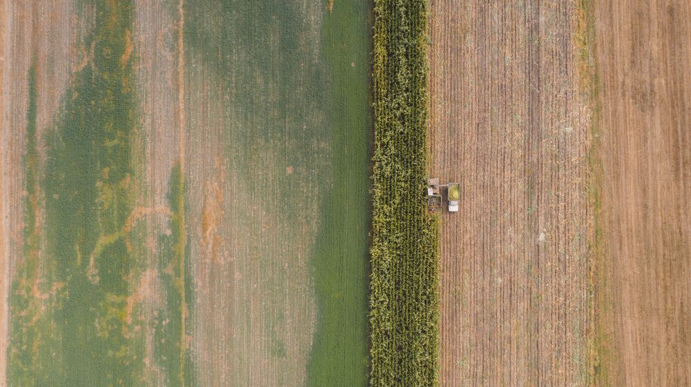 Photograph by Vahan Amatunyan