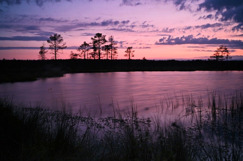 Photograph by Ija Reiman