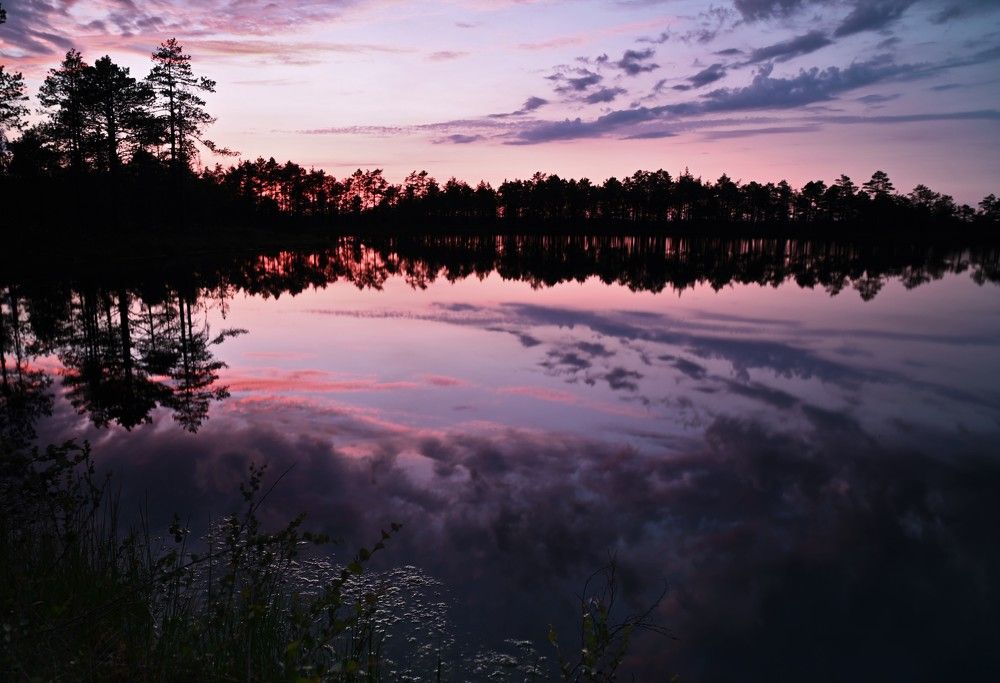 Photograph by Ija Reiman