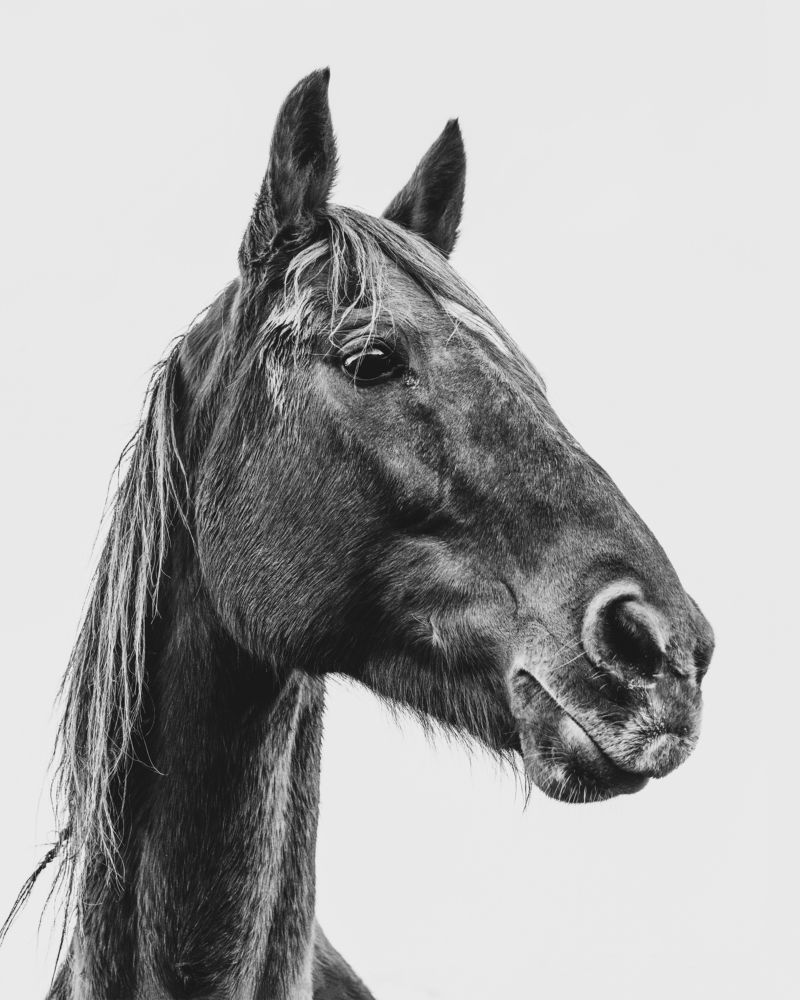 Photograph by Igor Vinogradov