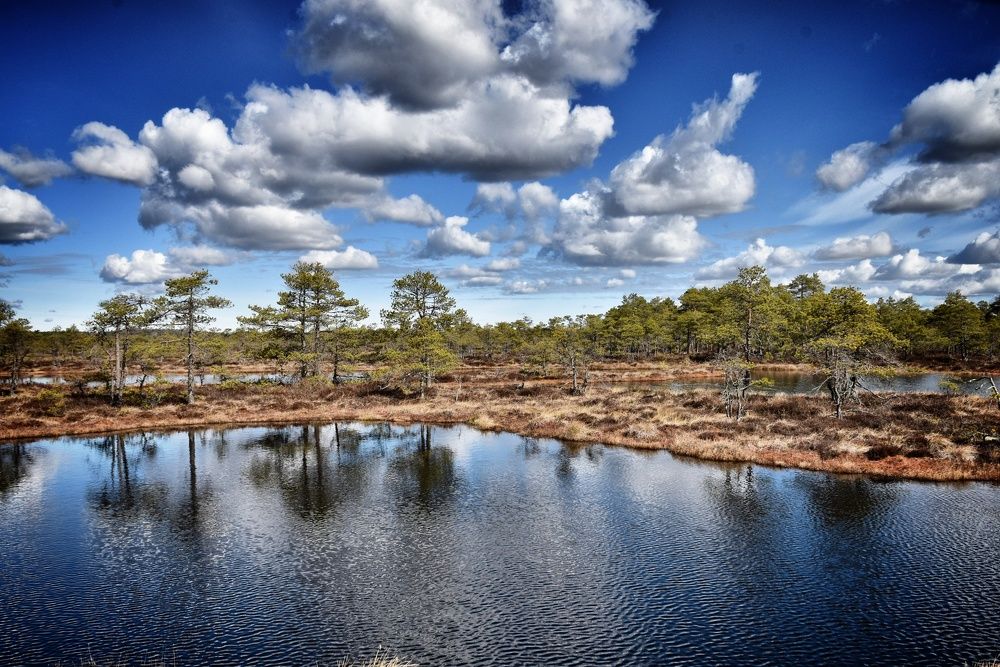 Photograph by Ija Reiman