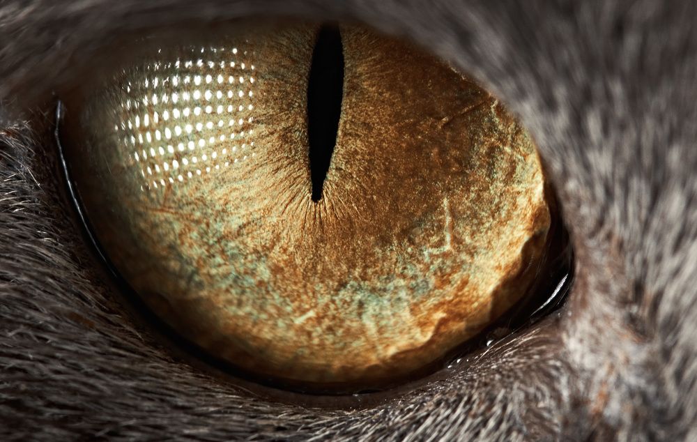 Photograph by Андрей Смирнов