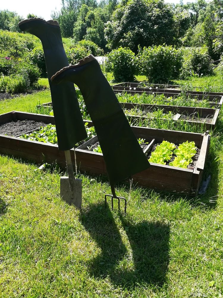 Photograph by людмила