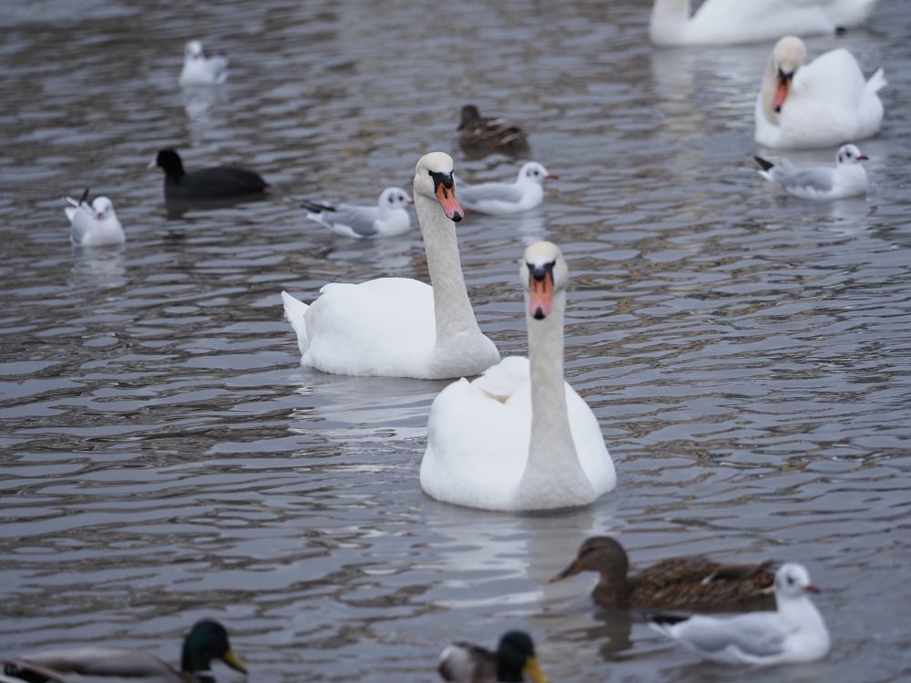 Photograph by Сергей Борисов