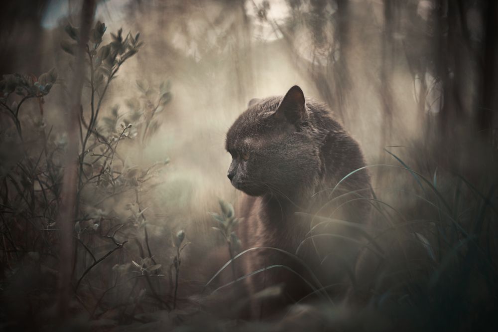 Photograph by Андрей Смирнов