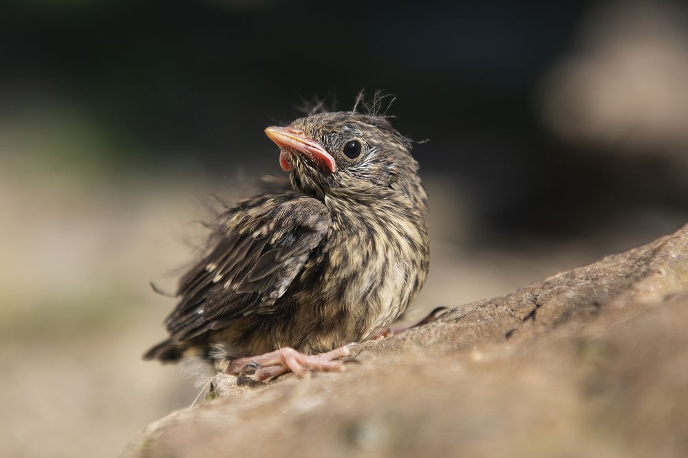 Photograph by Igor Vinogradov