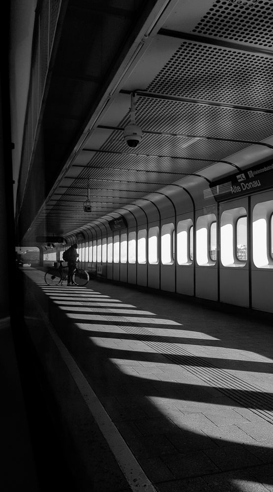 Фотография автора Алена Семеняко