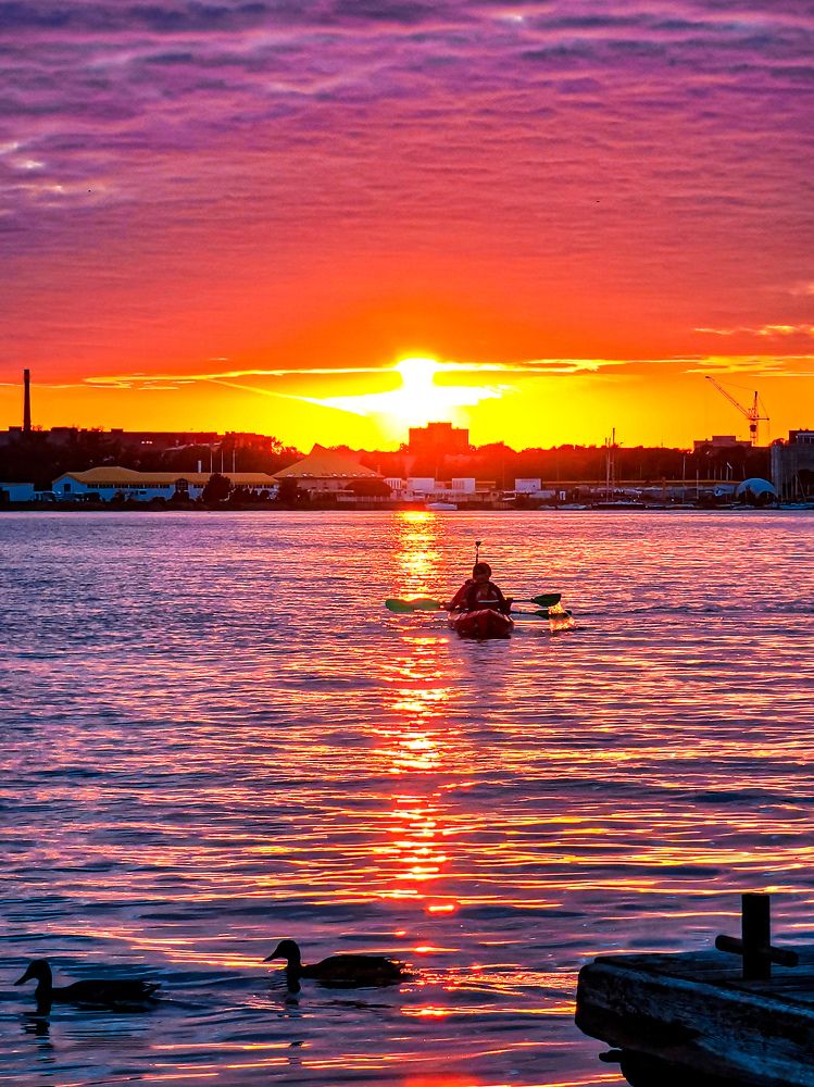 Фотография автора Дмитрий Лебедь