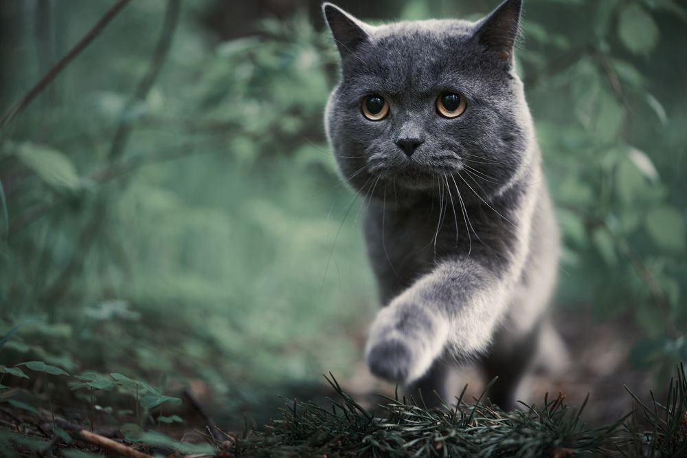 Photograph by Андрей Смирнов