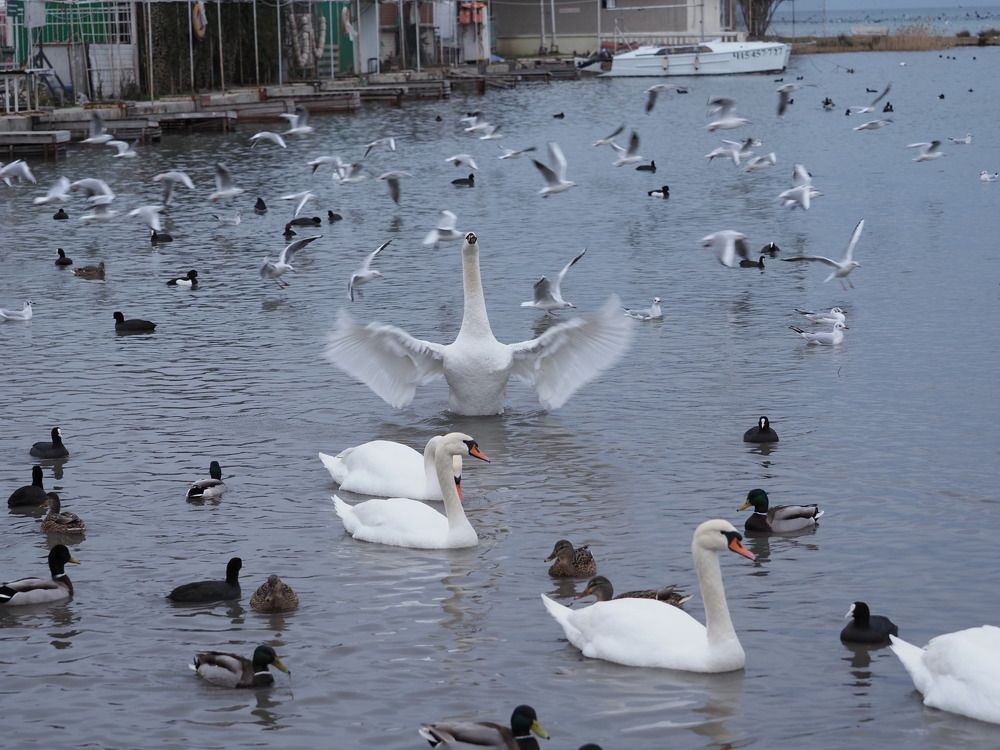 Photograph by Сергей Борисов