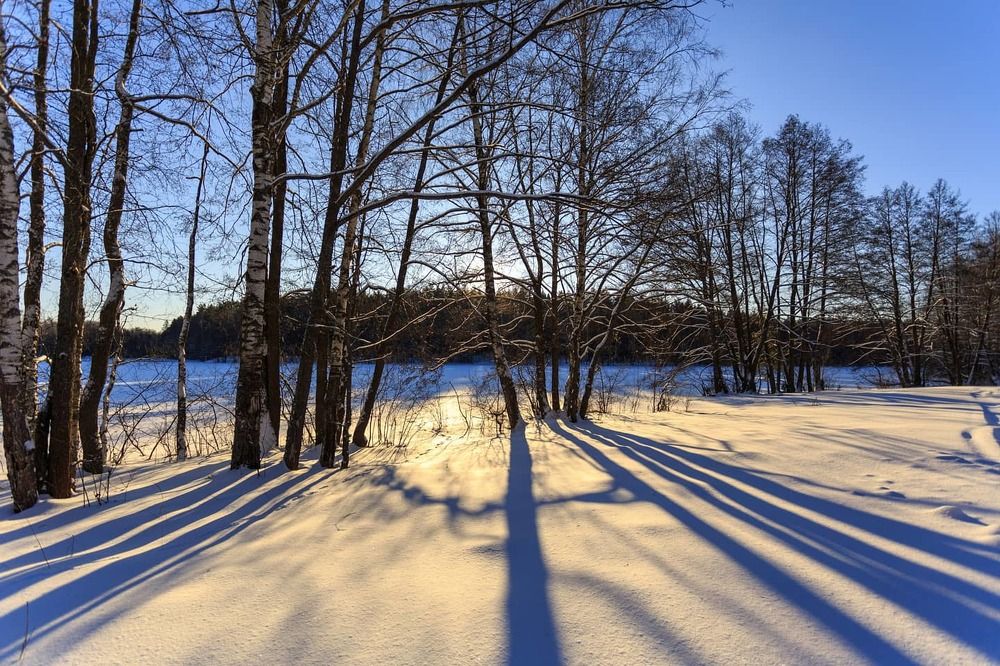 Фотография автора Виталий Зейфер