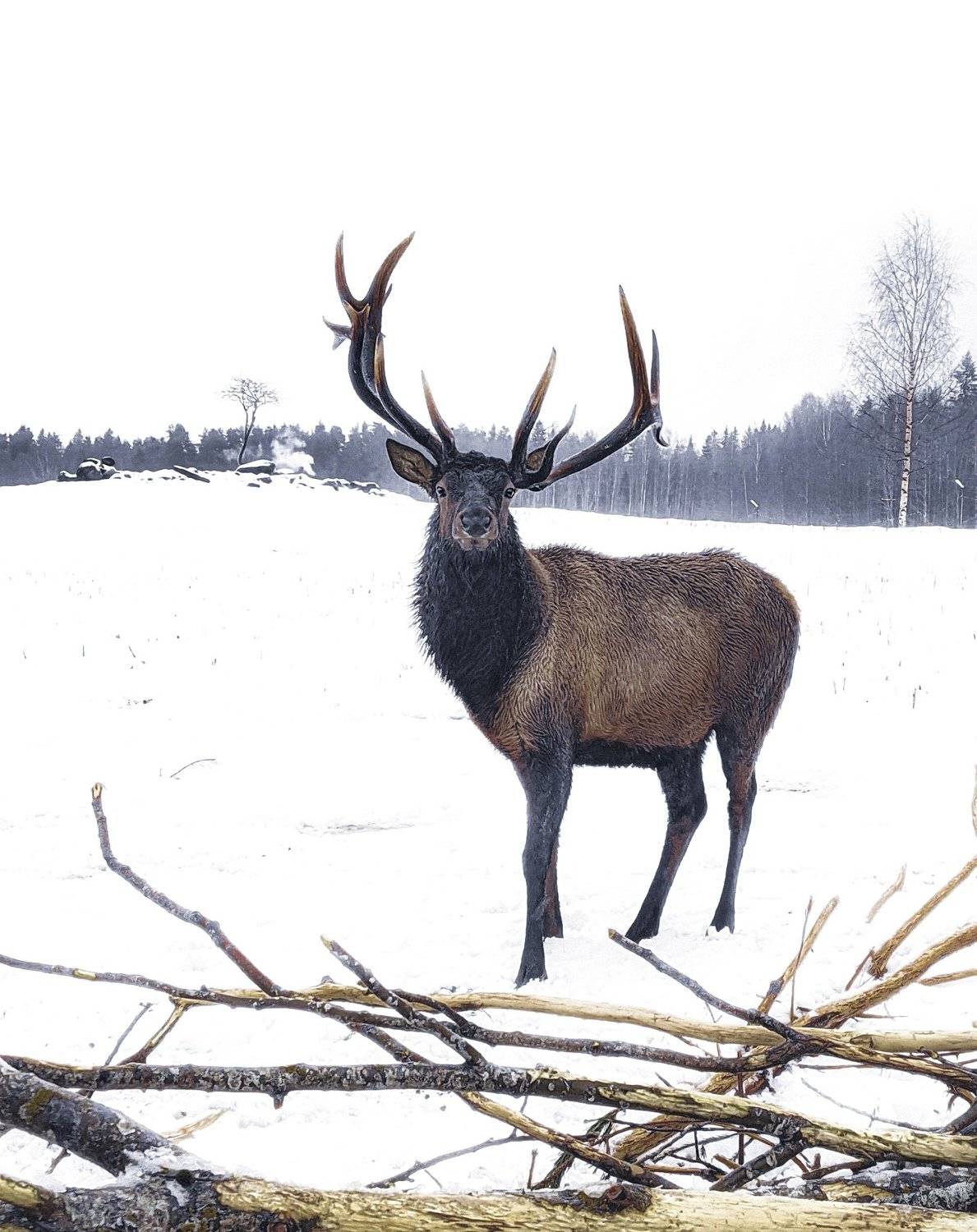 Photo #5633995