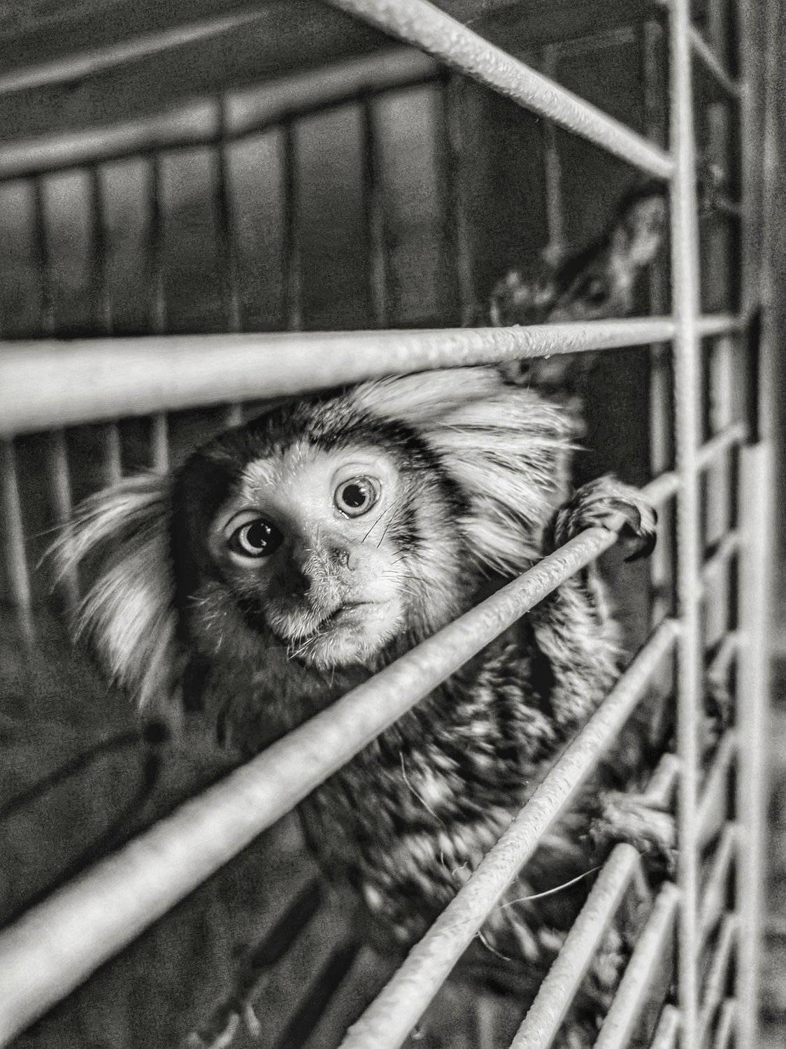 Freedom to be free