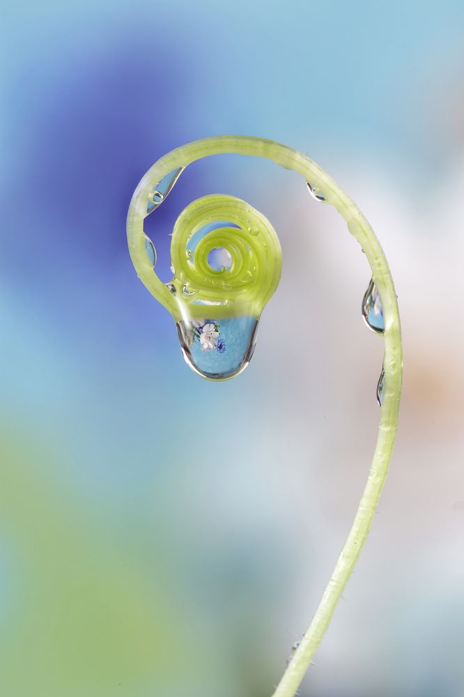 Photograph by Ирина Толокновская