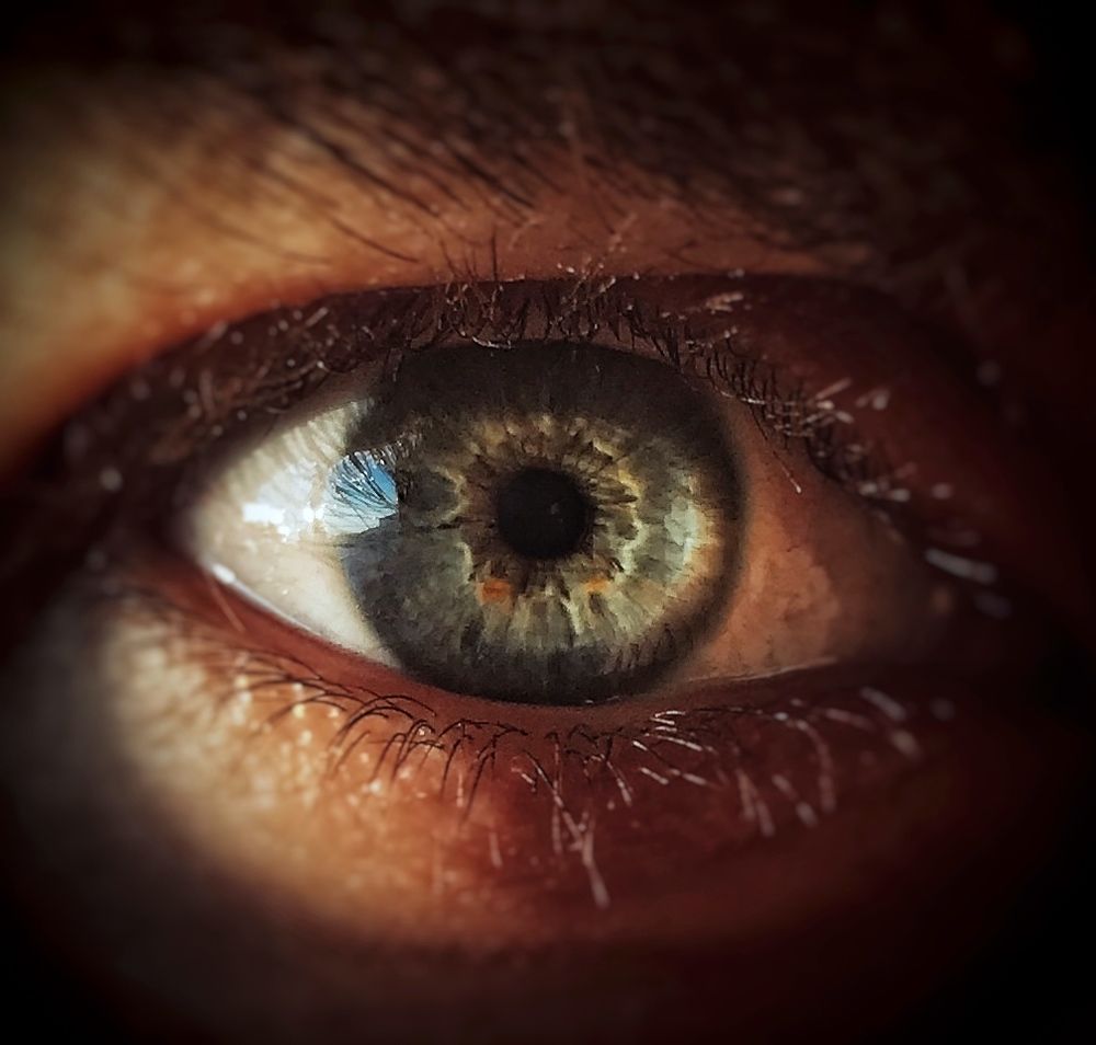 Photograph by Алексей Кроль