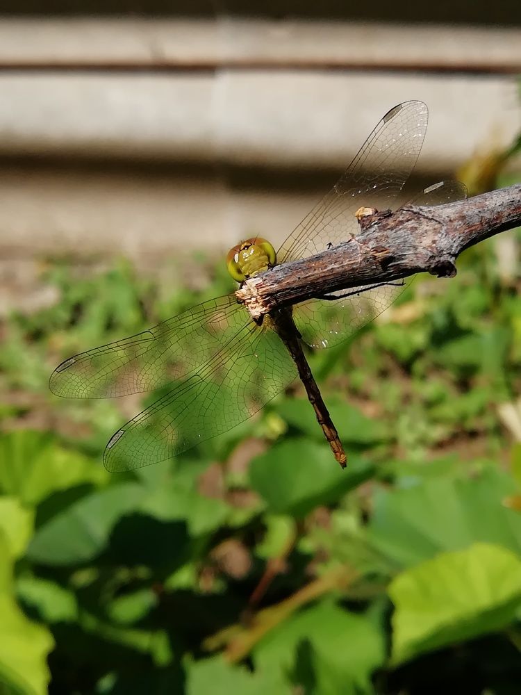 Photo #5634055