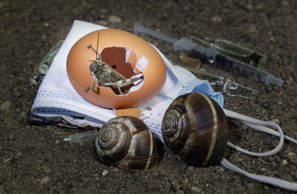 Birth to a new world.