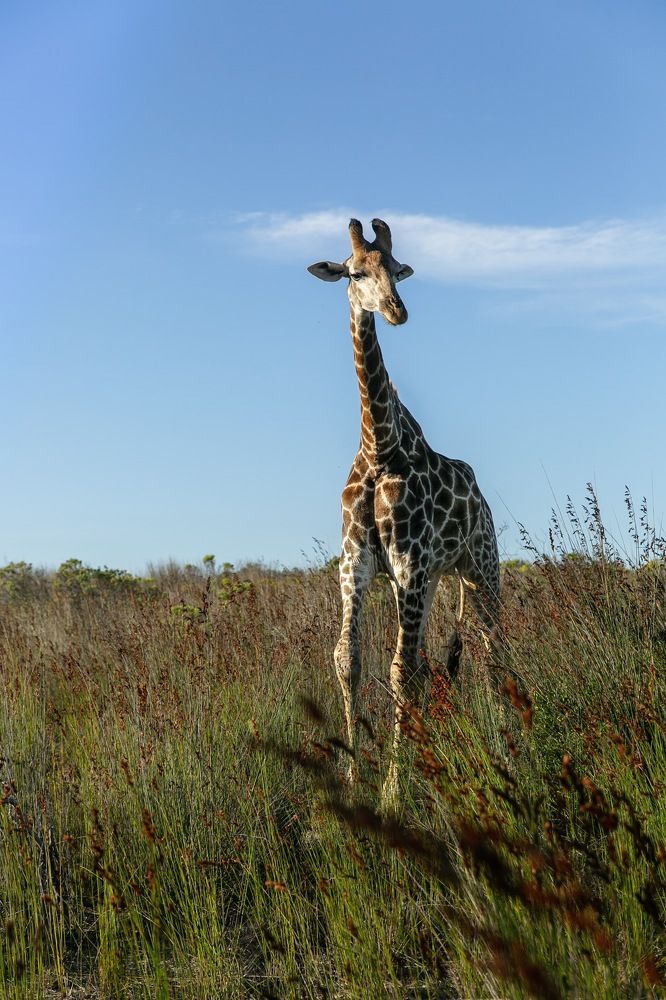 Photograph by Sofia Ershova