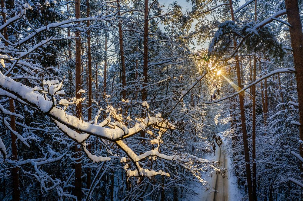 Photograph by Сергей Морозов