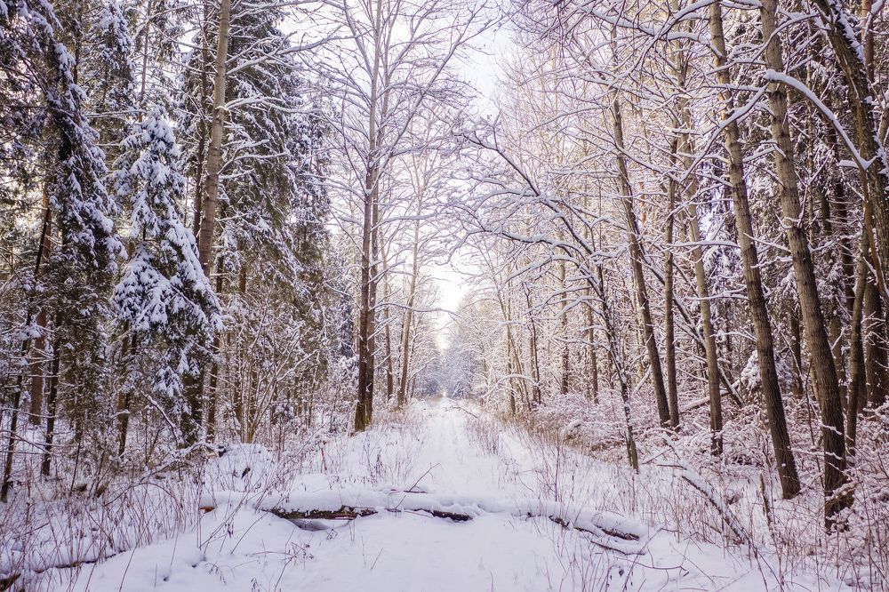 Photograph by Сергей Морозов