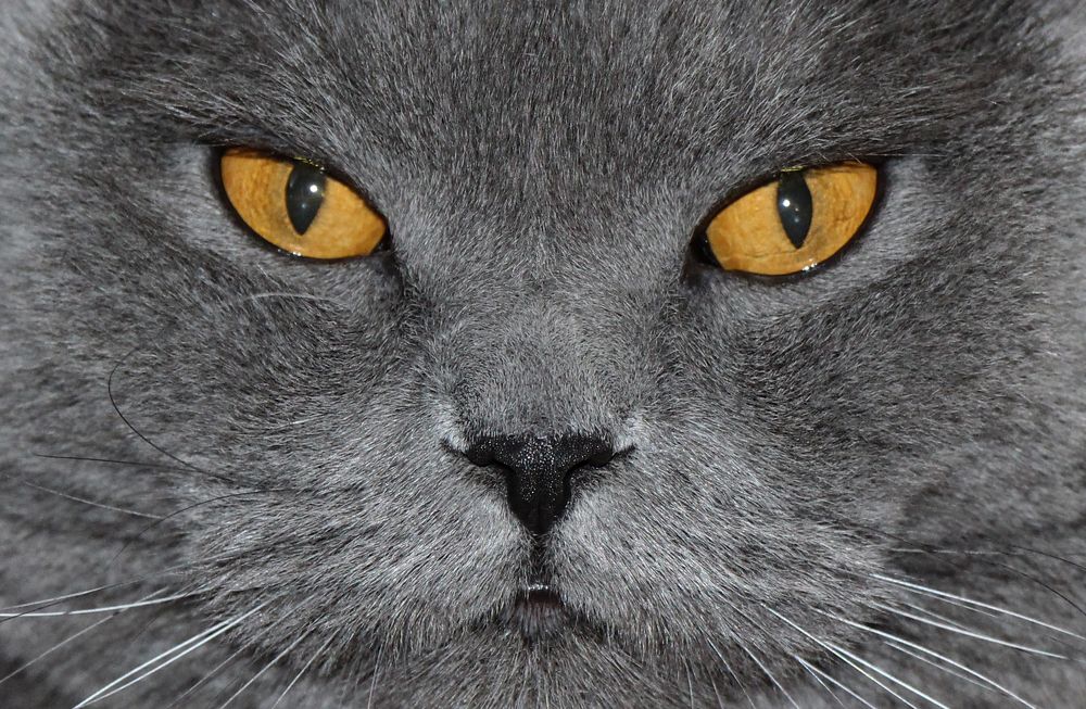 Photograph by Яна Толмачёва