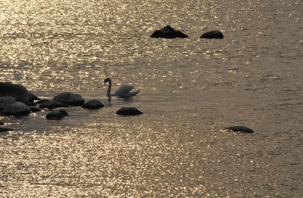 Photograph by Ivan Morozov