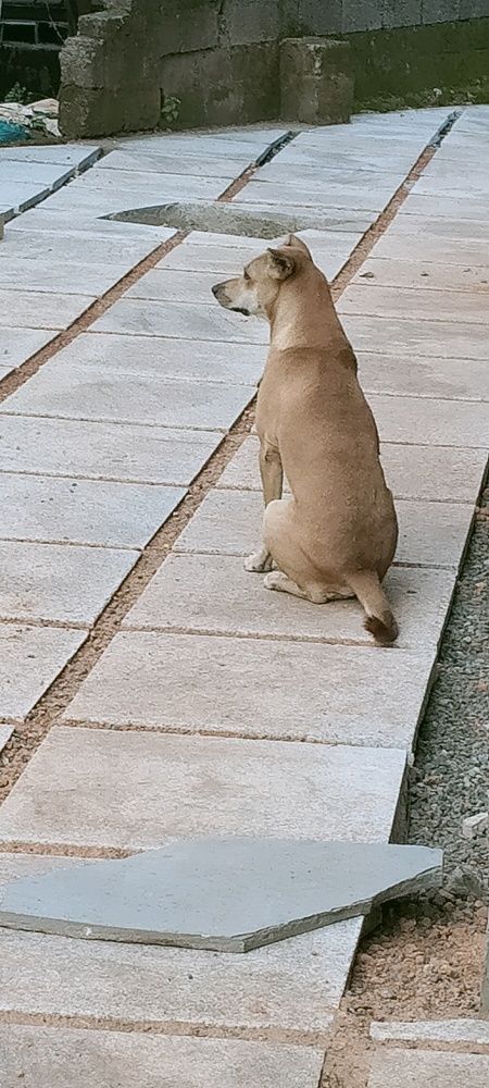 Photo #5634445