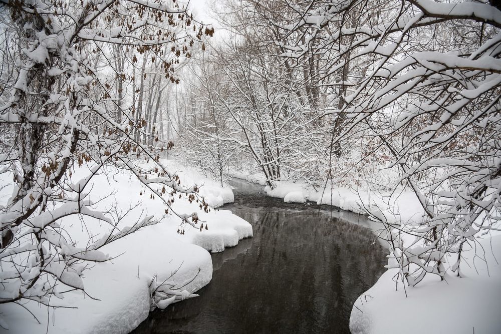 Photograph by Ирина Яук