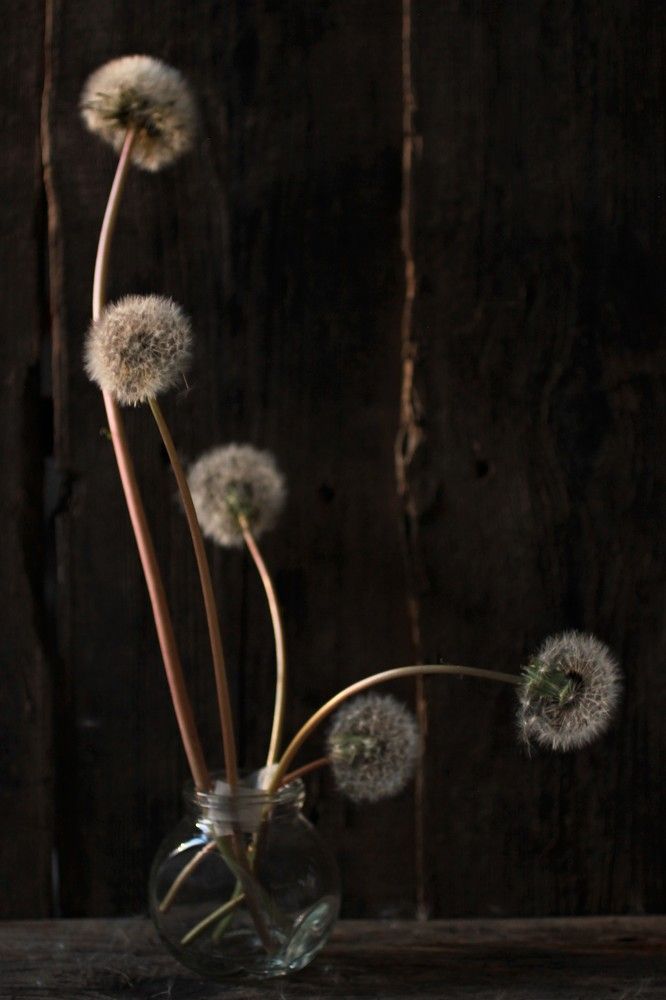 Photograph by Екатерина