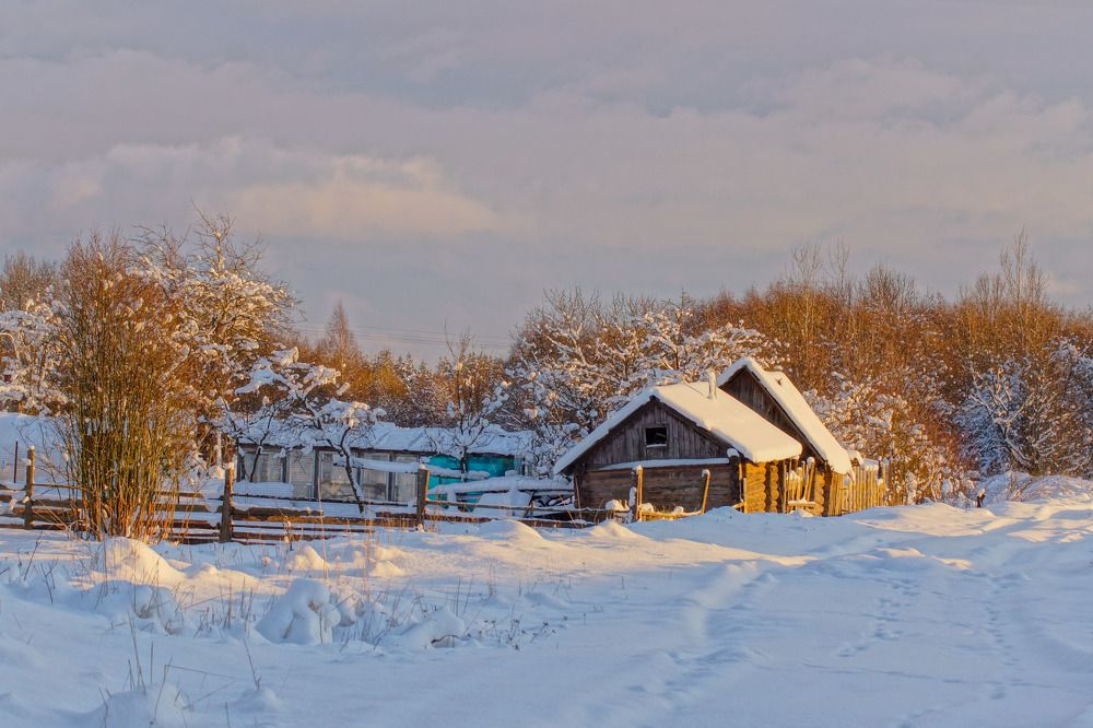 Photograph by Татьяна Шандромайло